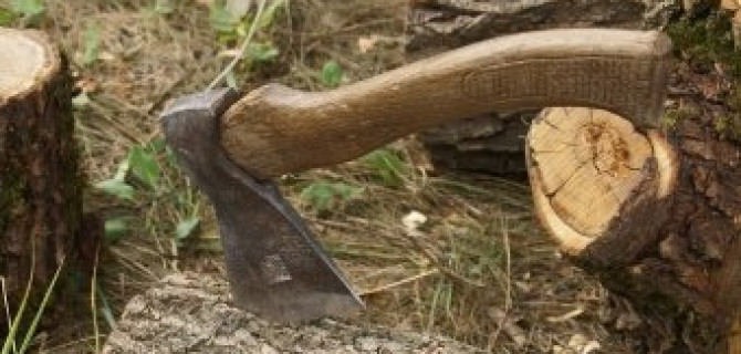 В Москве владелец эвакуированного авто набросился с топором на полицейских