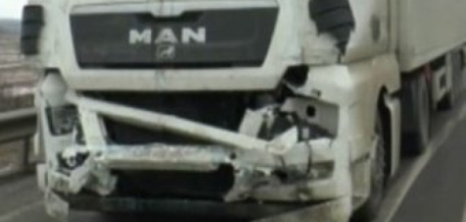 Фура с цирковыми медведями попала в ДТП на Кубани