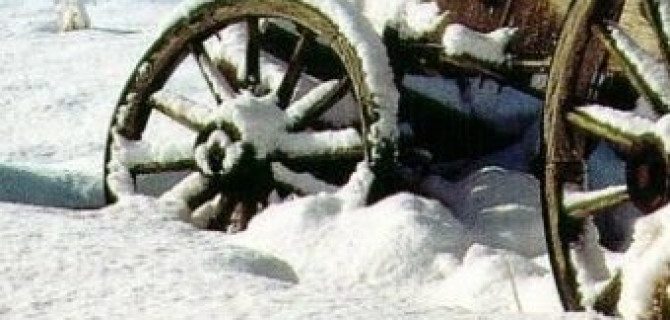 При столкновении автомобиля и телеги под Брянском пострадало восемь человек, включая ребенка