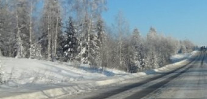 Шесть человек, в том числе один ребёнок, пострадали в ДТП на трассе Петербург-Псков, один человек погиб