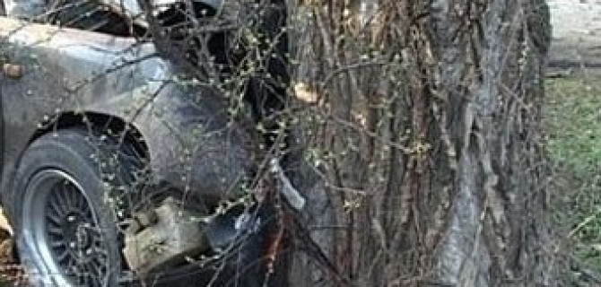 В Сланцевском районе иномарка врезалась в дерево: есть пострадавшие