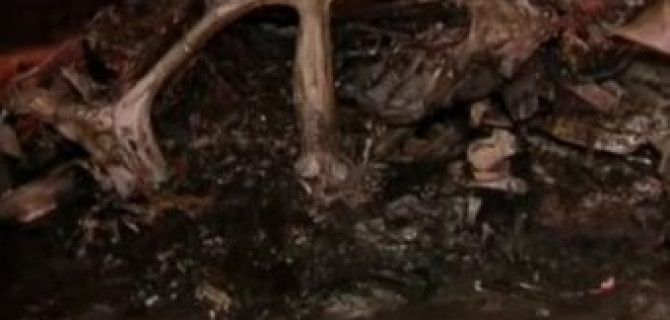 Водитель заживо сгорел в машине после ДТП на МКАД