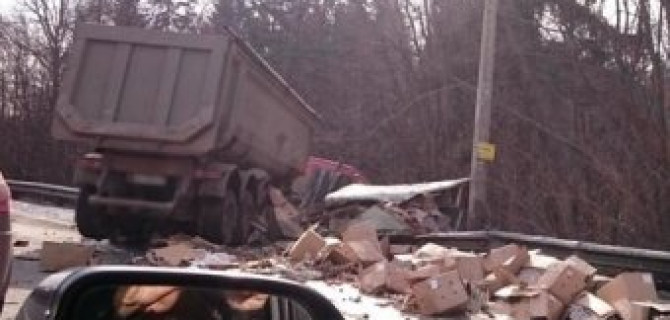 Выборгское шоссе засыпало яйцами после ДТП