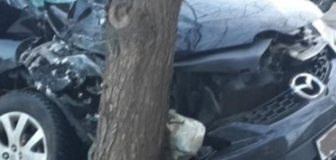 В Пестовском районе автомобиль врезался в дерево: погибла женщина