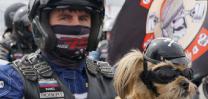 В ДТП в Польше погиб хозяин собаки-байкера