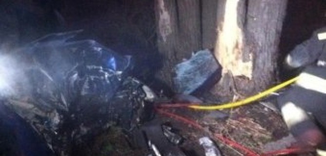 В Тольятти в ДТП с деревом погибли три человека