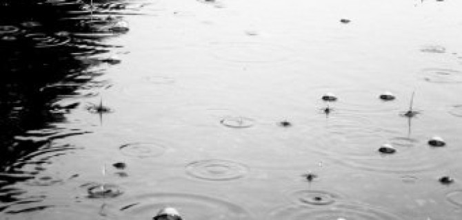 Водителей Петербурга просят быть внимательнее на дорогах