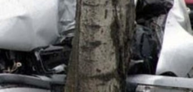 Водитель Volkswagen погиб, врезавшись в дерево, на трассе Правдинск - Дружба – Знаменск