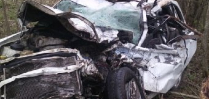 В Лужском районе в ДТП с лесовозом погибли три человека