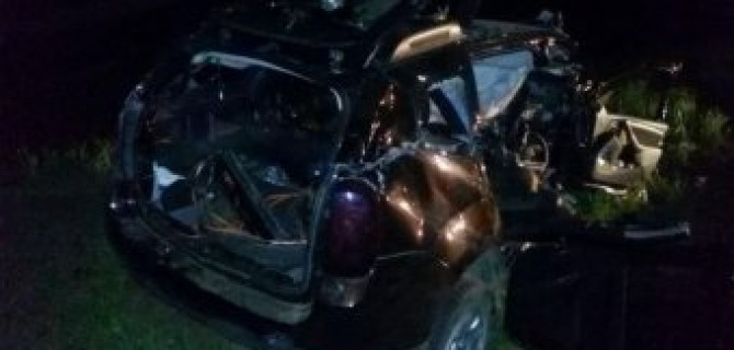 Под Армавиром в ДТП с деревом погибли три человека