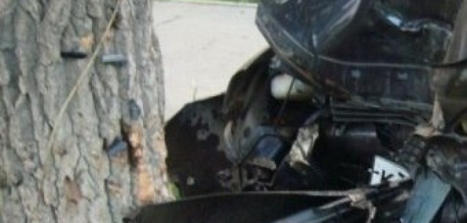 В Крыму Ford въехал в дерево: трое погибших