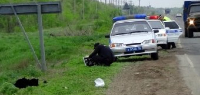 Под Оренбургом Mazda насмерть сбила пешехода – водитель скрылся