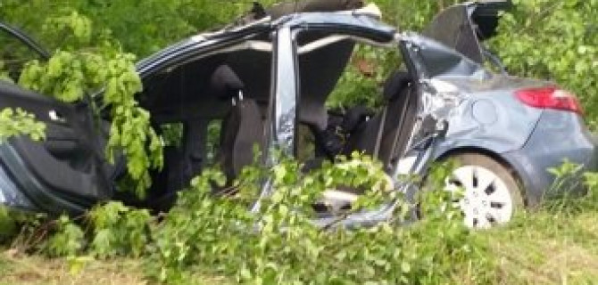 KIA Rio влетел в дерево на Приморском шоссе под Петербургом - один человек погиб