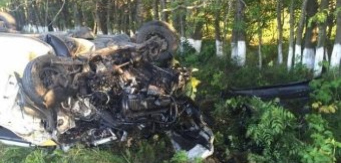 На Ставрополье из-за выбежавшей на дорогу собаки случилось смертельное ДТП