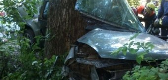 В Ярославле Renault врезался в дерево: погибли два человека