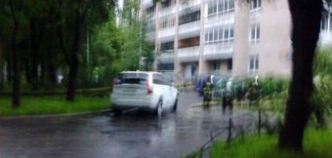 В Петербурге поваленное ветром дерево упало на новенький кроссовер Volvo 