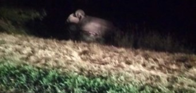 Под Тольятти в ДТП с "Газелью" погиб человек