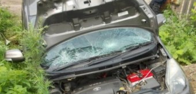 Под Томском пенсионерка насмерть сбила мать с ребенком