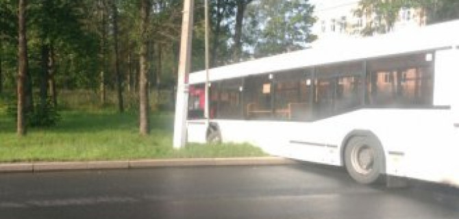 В Петергофе столкнулись два автобуса