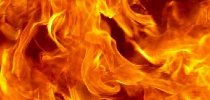 В Москве автомобиль врезался в дерево и загорелся