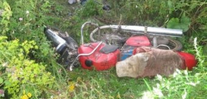 В Орловской области в ДТП погиб молодой пассажир мотоцикла