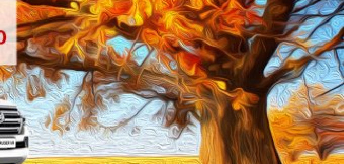 Бархатный сезон для покупки Toyota Land Cruiser 200 и Land Cruiser Prado в Тойота Центр Ясенево