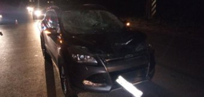 В Рязани Ford насмерть сбил пешехода