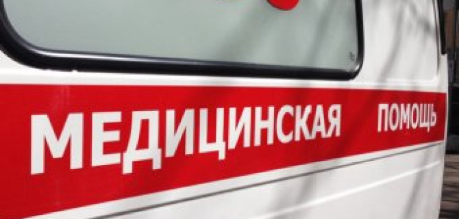 В ДТП с лосем в Ленобласти тяжело пострадал водитель