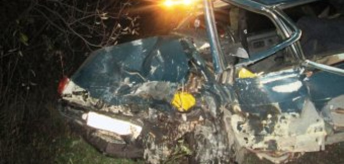 В ДТП в Пермском крае погибли двое взрослых и пострадали двое детей