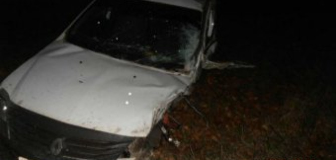 В ДТП в Ульяновской области погиб водитель