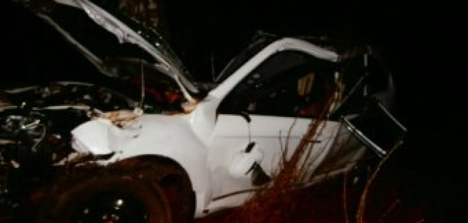 В ДТП с деревом во Владимирской области погибли двое