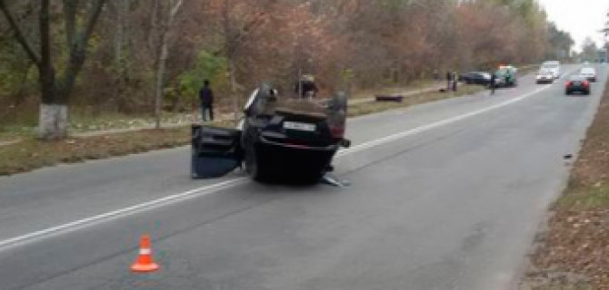 В Киеве белка испугала водителя и он перевернул свой автомобиль