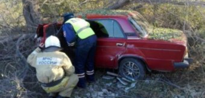 Под Саротовом упавшее в результате ДТП дерево заблокировало водителя "шестерки"
