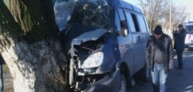 В Грозном микроавтобус "Газель" врезался в дерево, пострадало 14 человек