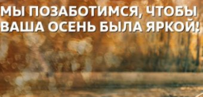 Осень по вашему плану вместе с Volkswagen Кунцево!