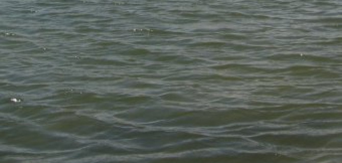 В Подмосковье в утонувшей машине погибла семья