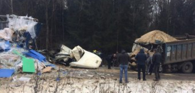 В ДТП с двумя фурами в Подмосковье погибли оба водителя