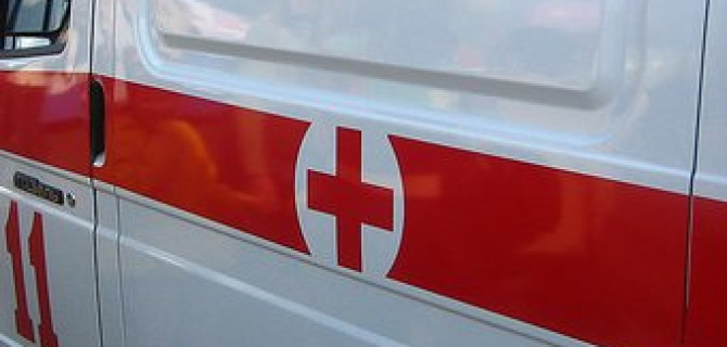 На Урале в ДТП с лосем погиб годовалый сын полицейского