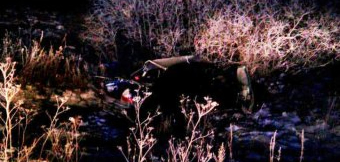 На трассе Екатеринбург-Тюмень в ДТП погиб водитель иномарки