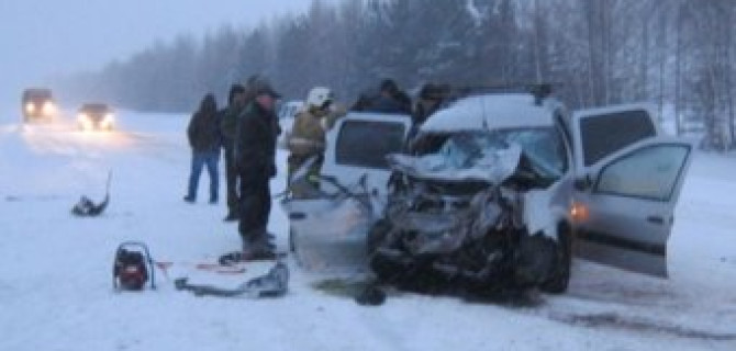 В ДТП с микроавтобусом в Татарстане погибли два человека