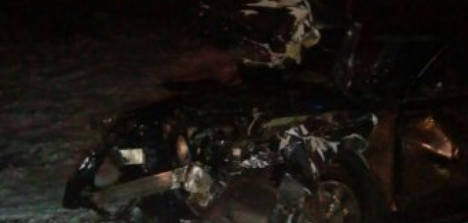 В больнице скончалась девочка, оставшаяся сиротой после ДТП с волком на трассе «Кола»