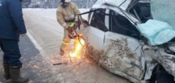 В ДТП под Рязанью погибли два человека