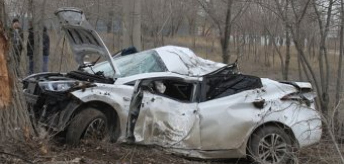 В Волгограде иномарка врезалась в дерево: водитель погибла