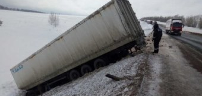 Под Оренбургом вызволяют редких тигров из сошедшей в кювет и брошенной фуры