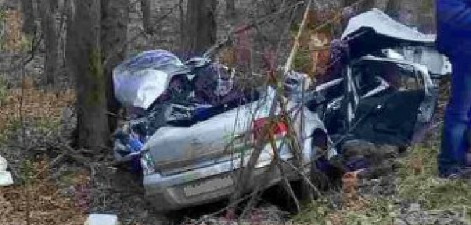 В ДТП под Брянском погибли три человека
