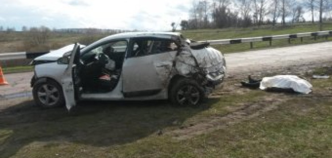 В ДТП в Тамбовской области погибла женщина