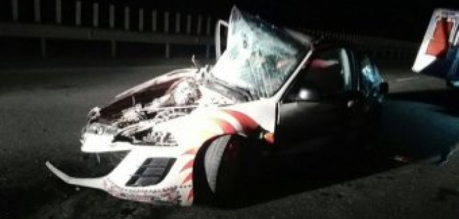 Сбежавший с места смертельного ДТП водитель Lexus оказался сыном крупного бизнесмена