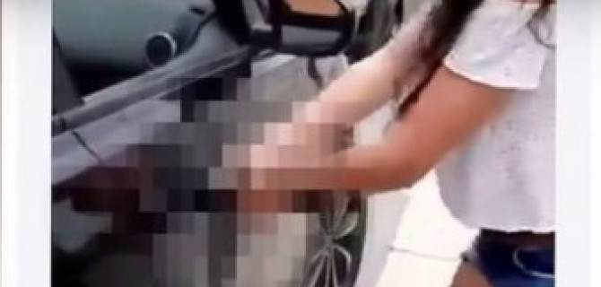 В США девушка починила автомобиль с помощью фаллоимитатора