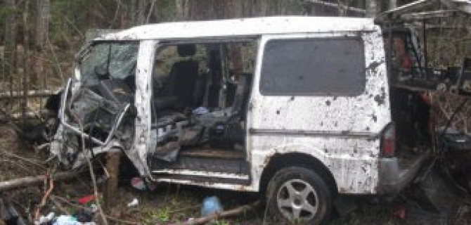 В Киришском районе мать уснула за рулем авто - погиб ребенок, двое детей пострадали