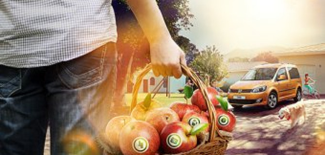 Профессиональная подготовка к сезону для коммерческих автомобилей Volkswagen